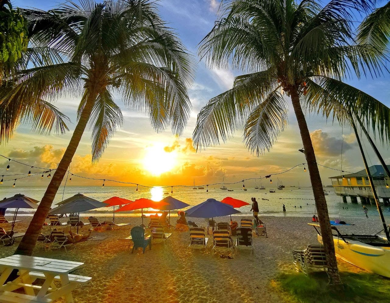 Закат между пальмами над пляжем Pebbles Beach на Барбадосе: лежаки, разноцветные зонтики и лодки на воде